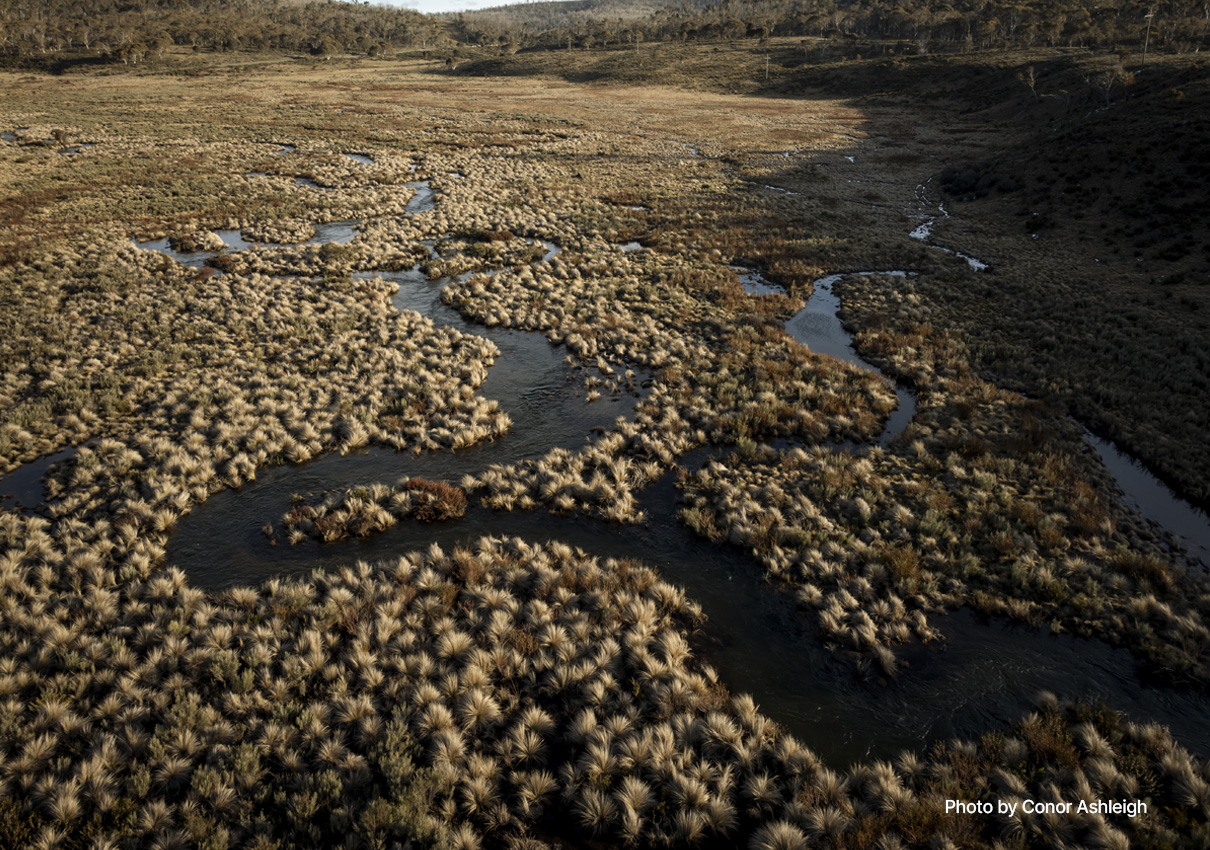Watertrust-img